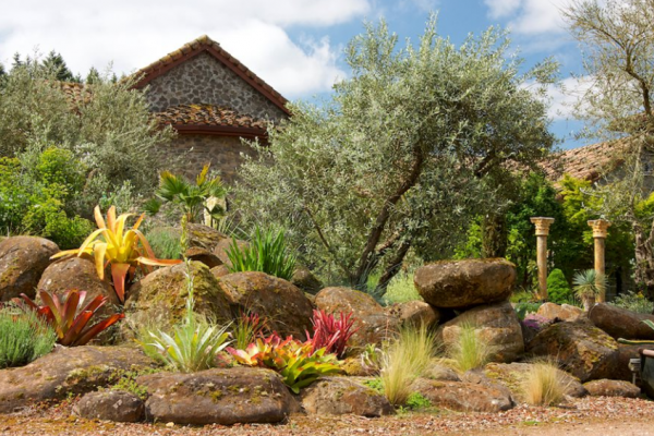 Taman dengan batu-batu besar dan pepohonan tinggi